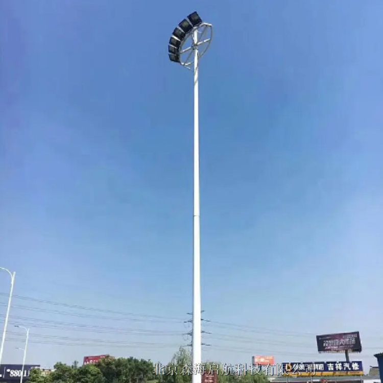承接市政10米路燈工程廠家